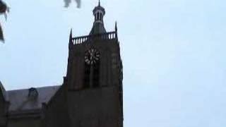 Driegelui Grote Kerk Vianen [upl. by Ehtyde277]