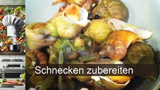 Schnecken zubereiten  Rezept [upl. by Wiedmann]