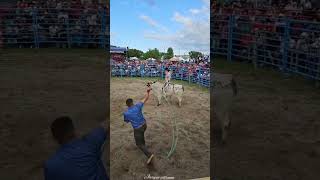 Buena monta de Quiquis de Hidalgo vs toro tres de corazones 🤠💯 jaripeo [upl. by Fang]