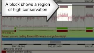 Clip View Conserved Sequence [upl. by Ahsiekrats]