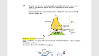 A Level AQA Biopsychology 3 synaptic transmission [upl. by Quintilla511]