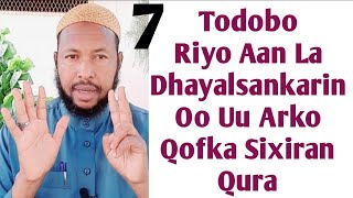 Todobo Riyo An La Dhayalsankarin Oo Uu Arko Qofka Sixran Ama Hada Sixir Lagu Wado halaisgaro Dadow [upl. by Ysus743]