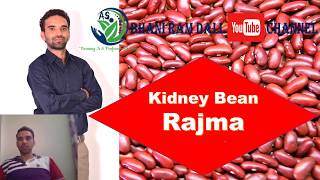 Kidney BeanRajma Phaseolus vulgaris [upl. by Paterson]