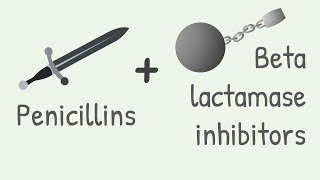 Penicillin with Beta lactamase inhibitors [upl. by Harifaz393]