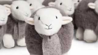 My herdy [upl. by Imaon]