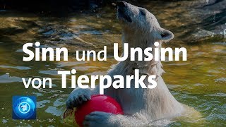 175 Jahre Zoo Berlin  Sinn und Unsinn von Tierparks [upl. by Ynots]