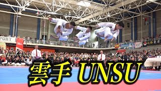 Karate Kata quotUnsuquot in 2017 JKA WORLD TOURNAMENT [upl. by Aihtenyc]