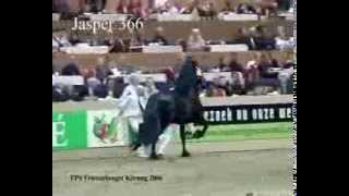 KFPS Hengstenkeuring Friesian Stallion Championship The Winner is [upl. by Duwalt]