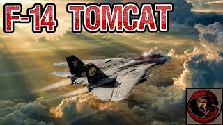 F14 Tomcat  Naval Air Superiority Strike Fighter [upl. by Idzik]