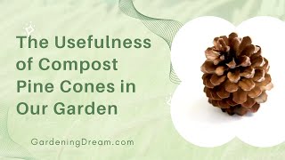 The Usefulness of Compost Pine Cones in Our Garden [upl. by Sophi]