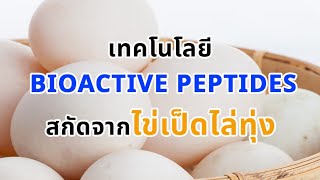 Ep 317 เทคโนโลยี Bioactive peptides สกัดจากไข่เป็ดไล่ทุ่ง [upl. by Rehpotsrhc110]