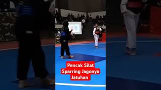 Pencak Silat Sparring Jagonya Jatuhan dennywewey9649 [upl. by Nodnart219]