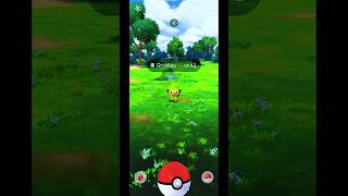 Catching a Grookey ⭐1 in Pokemon GO  Indonesia  Gameplay  Shorts PokemonGO PokeGOWorthy [upl. by Everson]