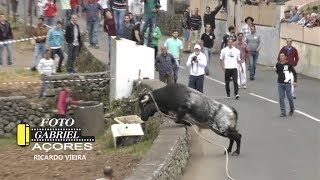 AS Melhores Touradas 2018  Parte 5  Ilha Terceira AÇORES [upl. by Anelegna]