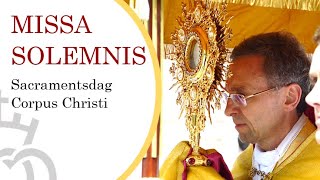 Corpus Christi 2021  Traditional Latin Mass and Procession Sacramentsprocessie Utrecht [upl. by Kobylak]