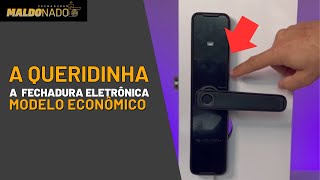 TUTORIAL Fechadura Eletrônica Biométrica KT 1000 [upl. by Iroc632]