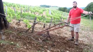 Sancerre walk plow [upl. by Edeline]