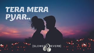 Tera Mera Pyar lofi by AUDiO WAVE [upl. by Leahcim329]