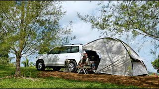 Evening Wind Forest Farm  Fieldoor Car Side Tent 4K [upl. by Alaikim912]