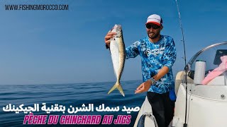 Pêche du gros chinchard au jigs 🎣 صيد سمك الشرن العملاق بتقنية الجيكينك [upl. by Eednarb]