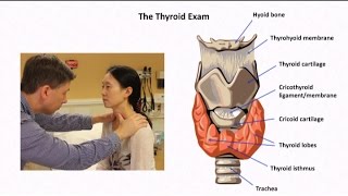 The Thyroid Exam and Physical Diagnosis of Thyroid Disease [upl. by Rori403]