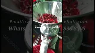 Chili Sauce Manufacturing Process Chili Sauce Making Machine Cost [upl. by Leunas]