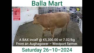 Balla Mart Saturday 26102024 lot 2636  €5300 [upl. by Ansley]