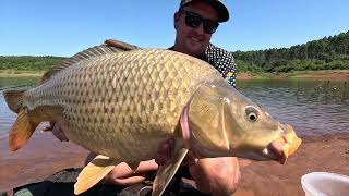 We caught Big Carp in Tzaneen Dam  Carp Fishing South African Wild Waters [upl. by Elleiand]