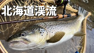 【トラウト天国】蝉型トップルアーで釣る怪物級のネイティブトラウト［4K］ [upl. by Enneirdna860]