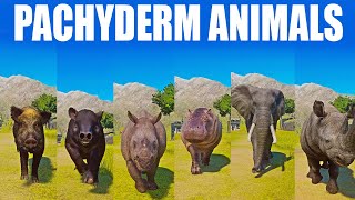 Pachyderm Animals Speed Race in Planet Zoo included Rhinoceros Tapir Wild Boar Elephant [upl. by Titos]