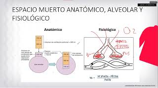 SEMINARIO  NEUMOLOGIA 2  Dr Nives [upl. by Relyk]