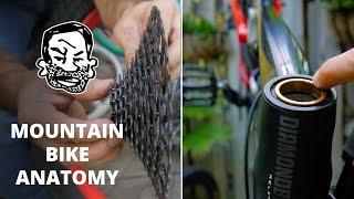 Mountain Bike Anatomy  50 parts in 5 minutes [upl. by Aitnauq75]