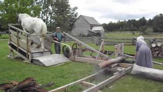 horse powered saw at kings Landing Historical Settlement in NB was cool to see [upl. by Llehcsreh]