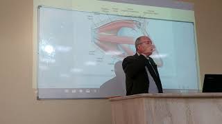 orbital contents and ocular muscles by Dr Wahdan [upl. by Frodi]