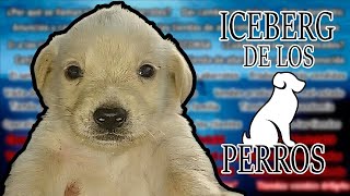 Iceberg de los Perros [upl. by Taddeo749]