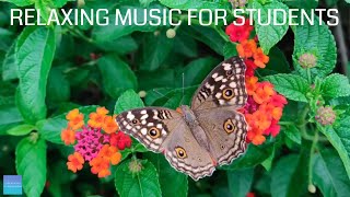 Relaxing Music For Elementary Students  Insects  Quiet classroom music for children study music [upl. by Ij]