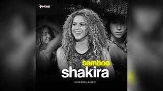 Shakira Bamboo Dancehall Remix Dj Mons [upl. by Annayk15]