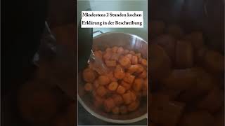 ☝✅ Altbewährt Karottensuppe nach Dr Moro gegen den flotten 🏃‍♂️ Otto Durchfall 🤢 [upl. by Eedya]