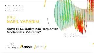 Ansys HFSS Yazılımında Horn Anten Modları Nasıl Gösterilir [upl. by Anauqaj]