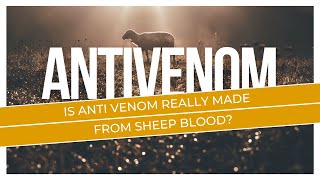 Is Anti Venom Really Made From Sheep Blood [upl. by Sotsirhc]