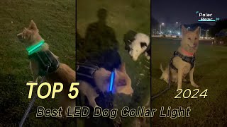 TOP 5 Best LED Dog Collar Light 2024 [upl. by Slack]