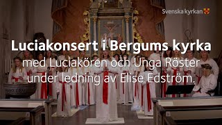 Luciakonsert i Bergums kyrka med Luciakören och Unga Röster  2021 [upl. by Noiramed658]