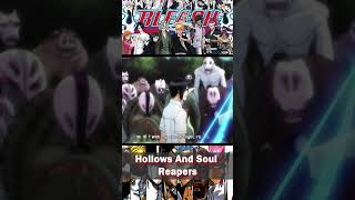 Bleach 101 Hollows and Soul Reapers Explained In Hindi bleach [upl. by Anaz659]