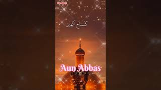 Qawwali  قوالی  Aun Abbas [upl. by Anirtak182]