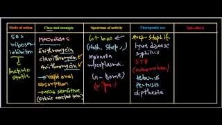 Macrolides antibiotics [upl. by Neelak140]