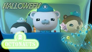 Octonauts  Spooky Siphonophore 👾 Cartoons for Kids  Its Halloween [upl. by Ginny]