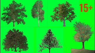 Tree Green screen effects  15 realistic tree [upl. by Weylin898]