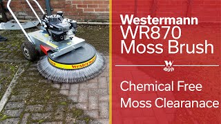 How to clear Moss on Block Paving [upl. by Utley]