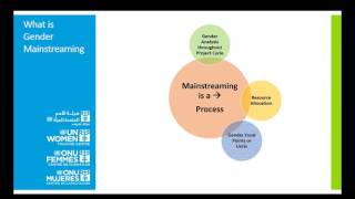 Webinar  Gender Mainstreaming Strategies to Address Gender Inequality [upl. by Jarvis710]