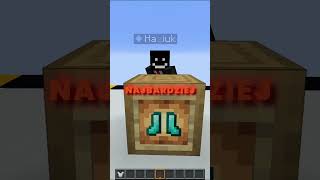 Minecraft Zgadnij Item  z Haziuk [upl. by Richmound735]